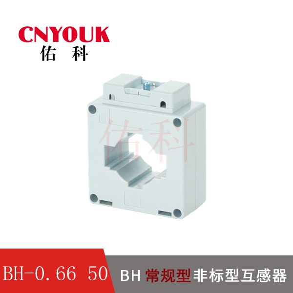 BH-0.66 50I  電流互感器