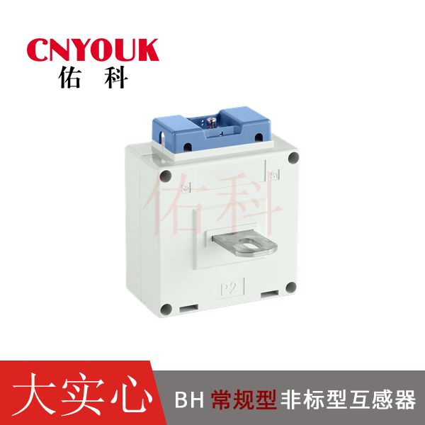 BH-0.66 大實心 直插式 電流互感器