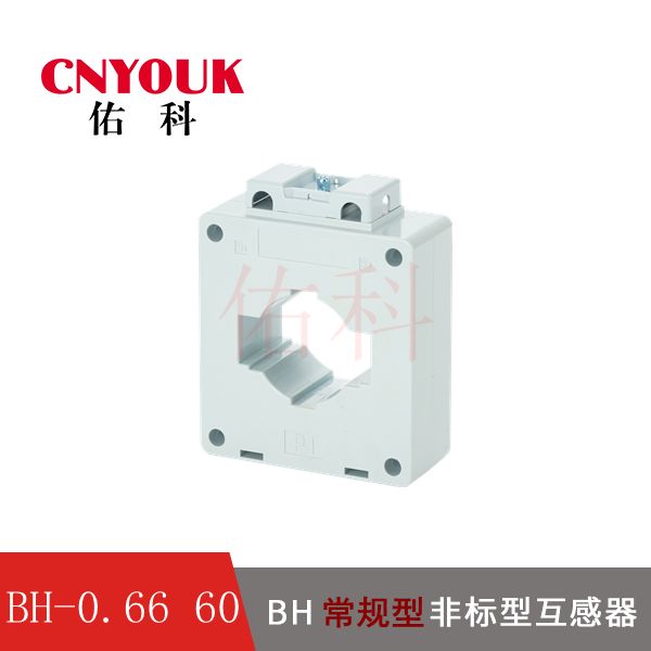 BH-0.66 60I  電流互感器