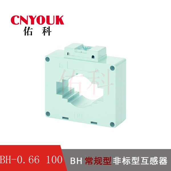 BH-0.66 100I  電流互感器