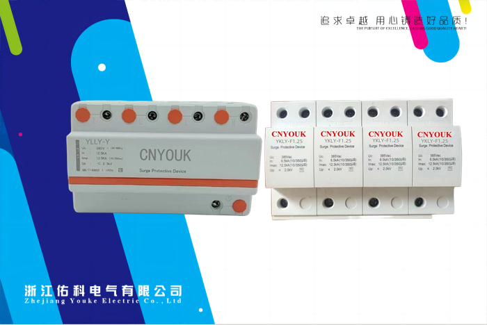 雷涌 浪涌保護器 YKLY-F(Y) 浪涌保護器 標準型